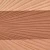 44761101-Sun-Kissed-Bronzing-Powder-toasty-Color-Dot-Malu-Wilz-100x100.webp