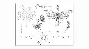 mini-floralia.webp