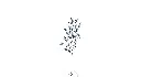 floral-x5.webp