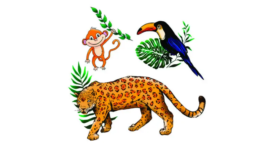 jungle-x5.webp