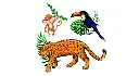 jungle-x5.webp