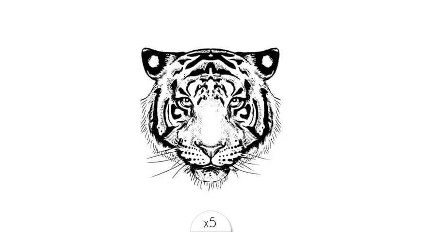tigre.webp