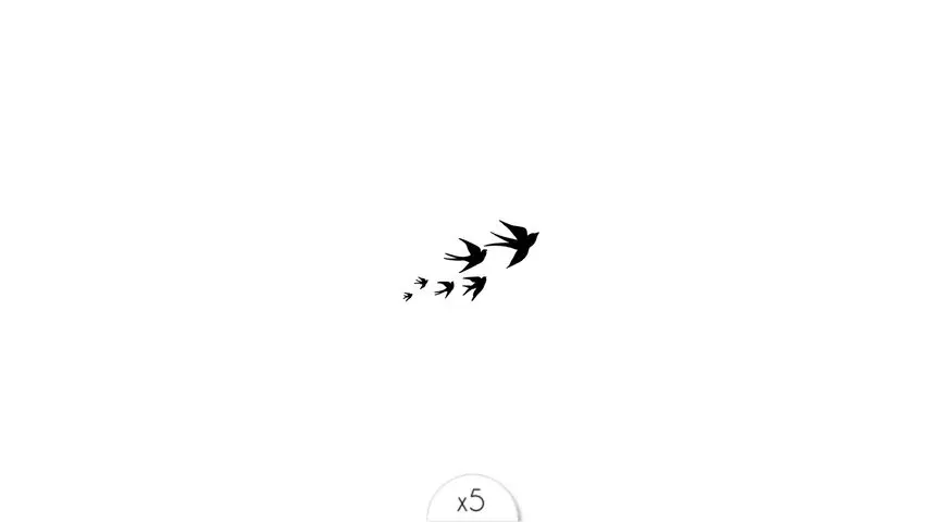 envolee-oiseaux.webp