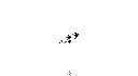envolee-oiseaux.webp
