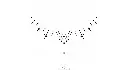 le-collier-d-etoiles-x5.webp