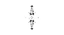 chemin-d-etoiles-x5.webp