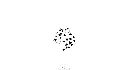 la-panthere-a-coeurs-x5.webp