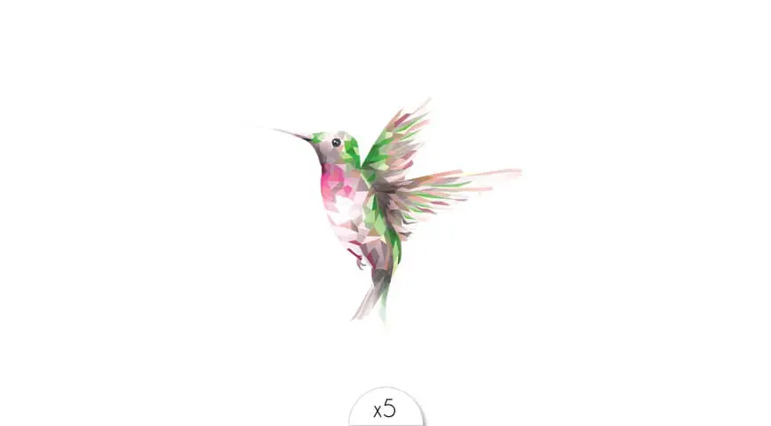 colibri-x5.webp