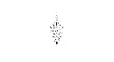 vision-astrale-x5.webp