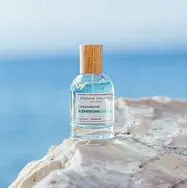 cardamome et romarin essence des notes.webp