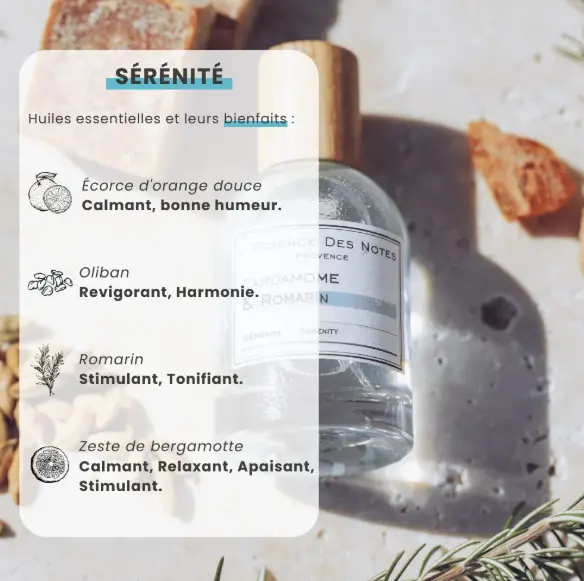 Capture d'écran 2025-07-03 102541.webp