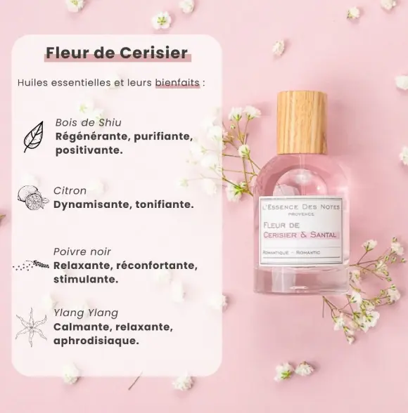 fleur de cerisier.webp