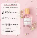 fleur de cerisier.webp