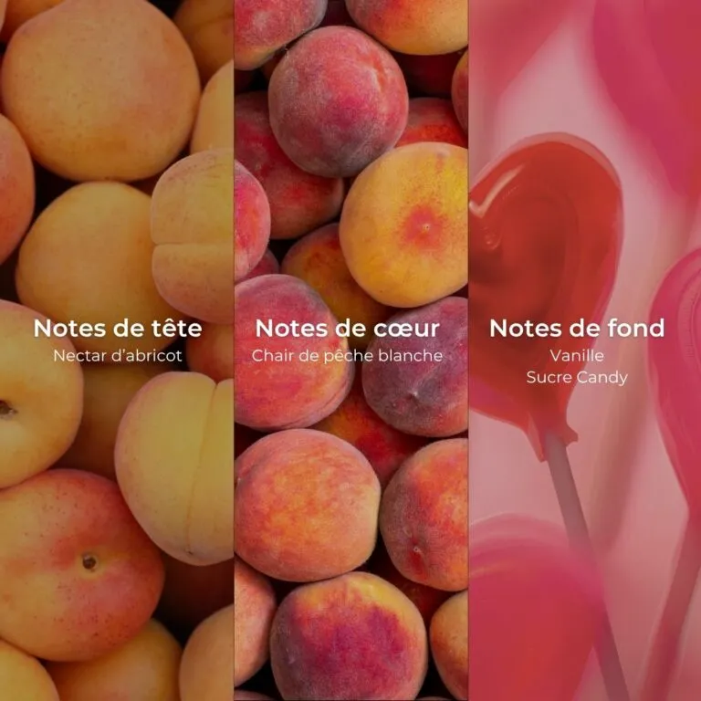 Notes-olfactives-1-768x768.webp