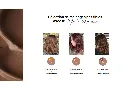 Capture d'écran 2026-08-27 124204.webp