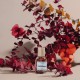 Coriandre & Bois de Cèdre EAU DE PARFUM BIEN-ÊTRE AUX HUILES ESSENTIELLES