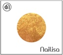 Painting Gel Sponge & Nail Art - Tropical Sand nailisa 5Ml