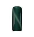 GEL DE COULEUR - CAT EYE Birman - 5 GR